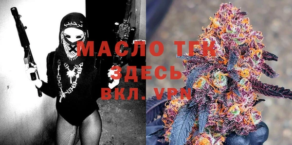 меф Ельня
